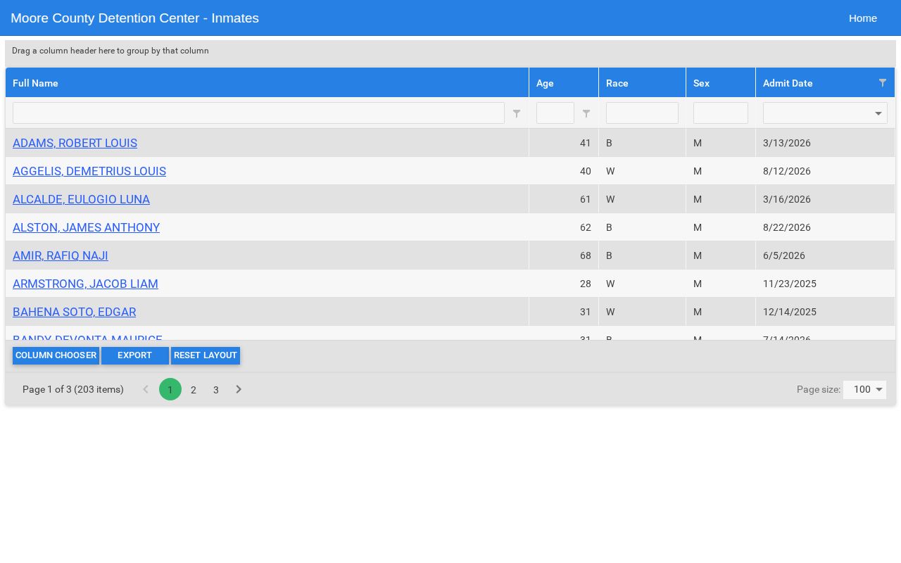 Moore County Detention Center current inmate roster interface